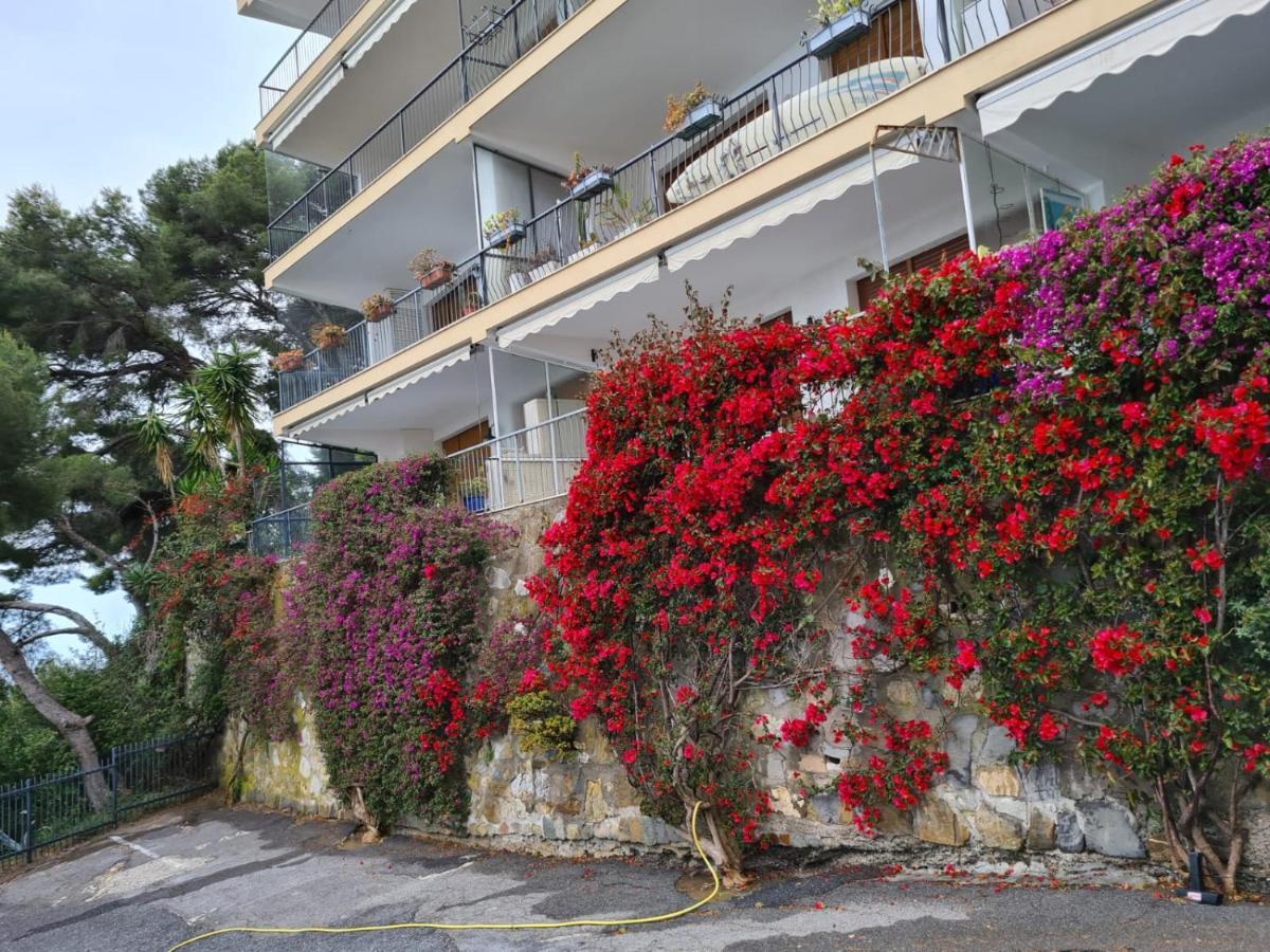 Rocce Di Capo Mimosa - Cervo Apartment Ngoại thất bức ảnh